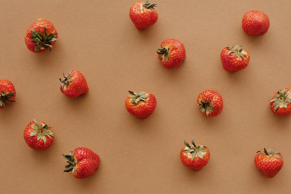 Füchse fressen Beutetiere, Beeren und Früchte in der Natur.