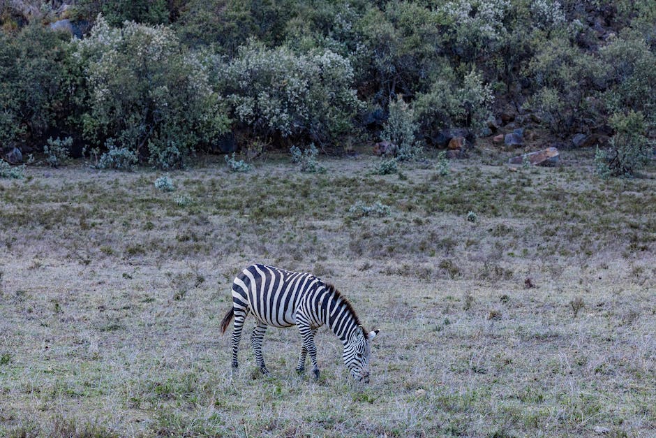 Menschen und ihre Einflussnahme auf die Natur