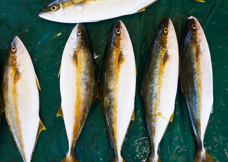 Fische natürliche Nahrung Essen