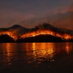 Natürliche Waldbrände entstehen