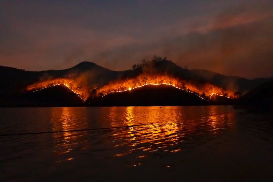 Natürliche Waldbrände entstehen
