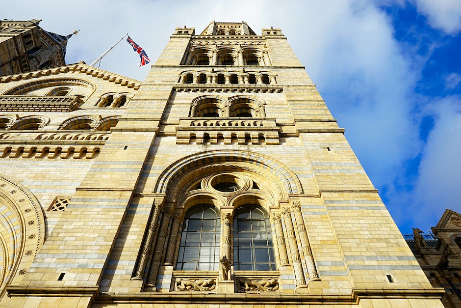 Natural History Museum London Größe